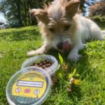 Pic "n" mix Natural Chew bag