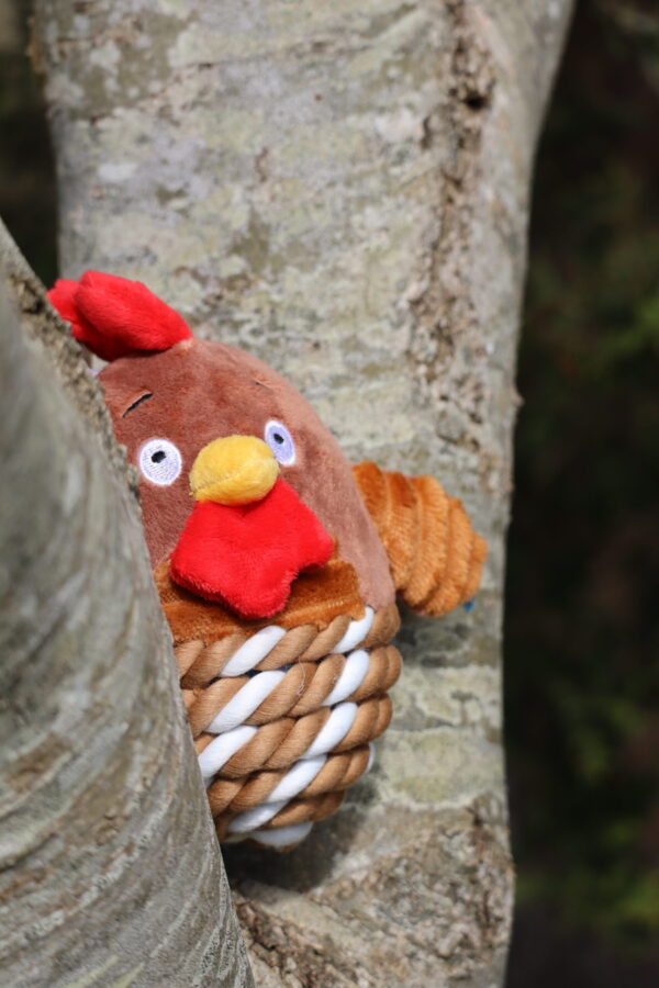 Chicken rope ball - Colin the cockerel