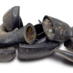 Buffalo horn